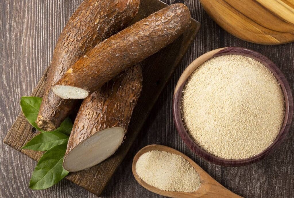 choisir et preparer le manioc Comment cuisiner le manioc ?